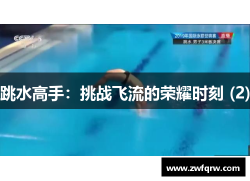 跳水高手：挑战飞流的荣耀时刻 (2)