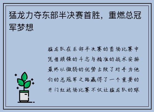 猛龙力夺东部半决赛首胜，重燃总冠军梦想